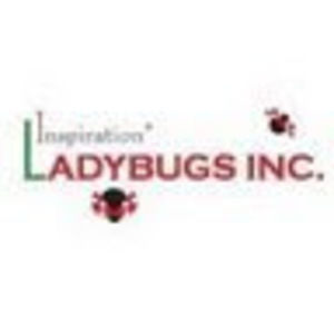 Meet your Posher, Ladybugs